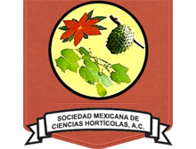 Pagina Web para Universidad Chapingo Area SOMECH